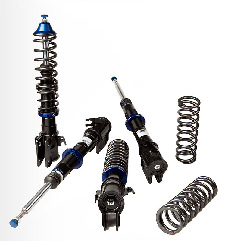 Cobra EVO-III Schroefset passend voor Volkswagen Golf V 4-Motion (vp. ø55mm) 2003- 30-70/30-70mm