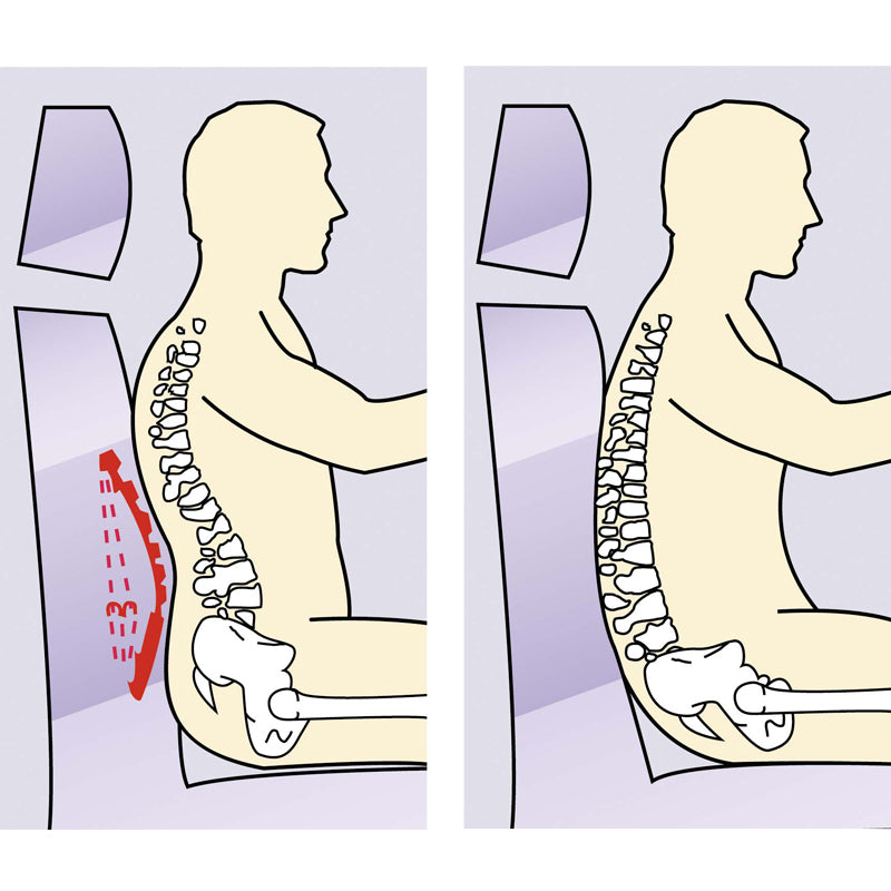 Defa, Ergonomic Lumbar Support - Gray