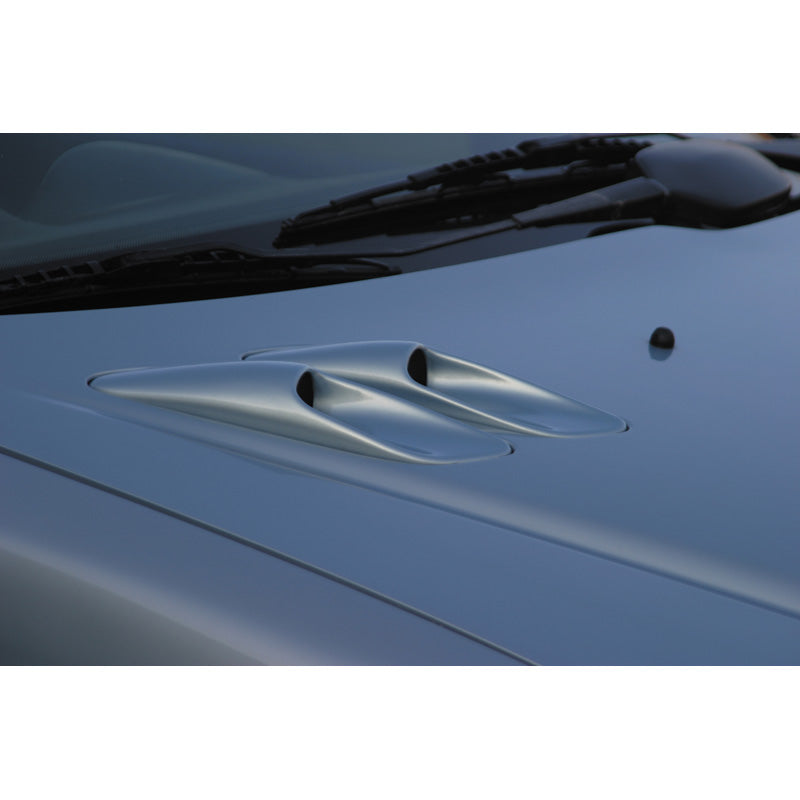 RGM, prises d'air de capot, convient à Peugeot 206 (remplace les prises d'air d'origine)