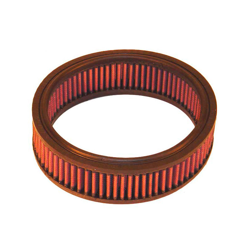 Filtre à panneau K&N, adapté à Austin (E-2601)