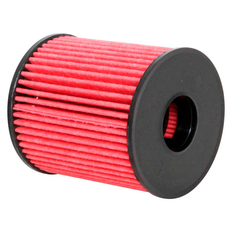 K&N oliefilter - High Performance-serie, past op Ford, Landrover, Mini, Peugeot, Citroën (HP-7024)